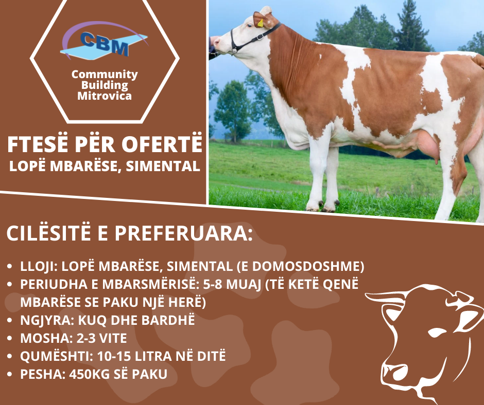 request-for-proposal-breeding-cows-simmental