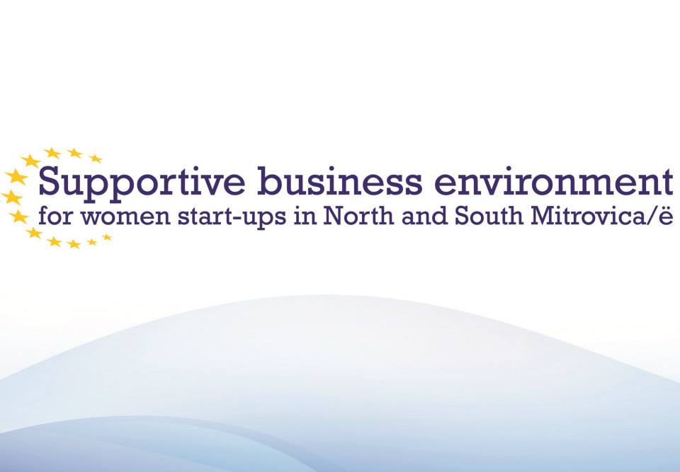 information-session-supportive-business-environment-for-women-start-ups-in-north-and-south-mitrovice-a